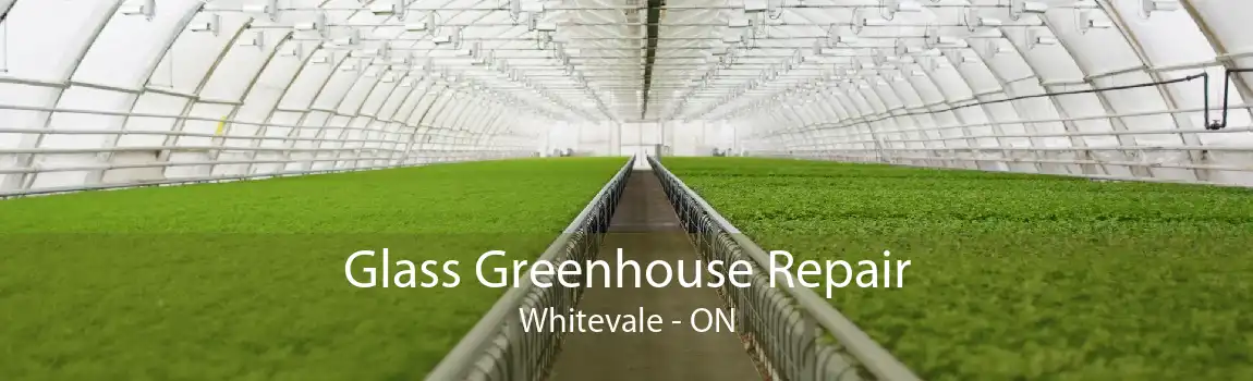 Glass Greenhouse Repair Whitevale - ON