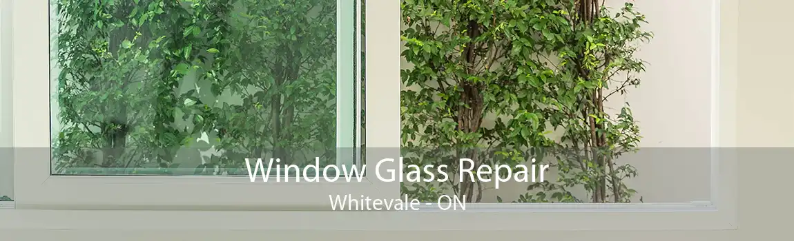 Window Glass Repair Whitevale - ON